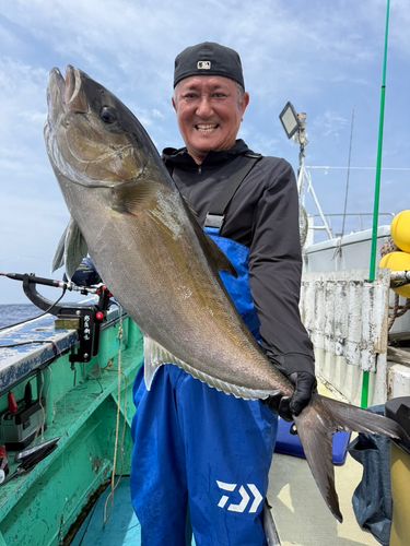 カンパチの釣果