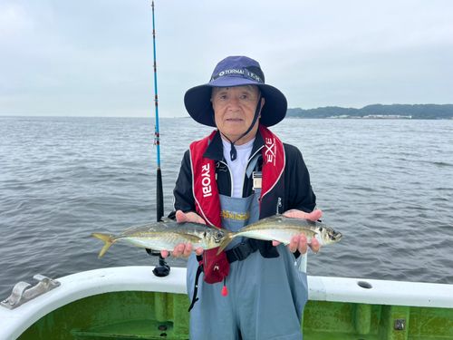マアジの釣果