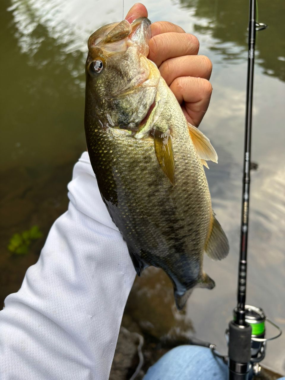 DAIWA 18ハートランド 722LRS-21の最安値・インプレ・釣果 | 本音の