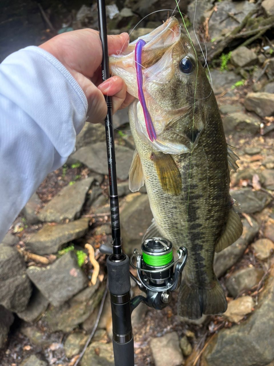 DAIWA 18ハートランド 722LRS-21の最安値・インプレ・釣果 | 本音の