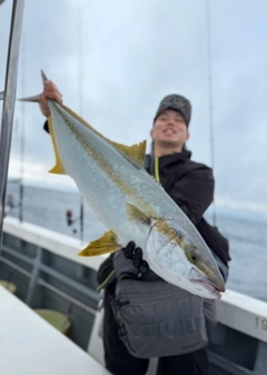ヒラマサの釣果