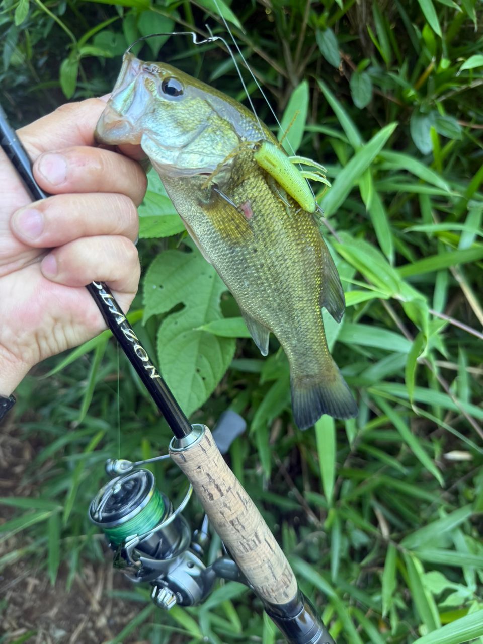 DAIWA 21ブレイゾン S63UL-2・STの最安値・インプレ・釣果 | 本音の