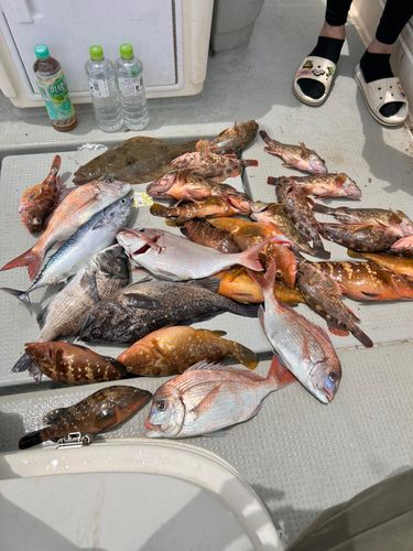 釣果