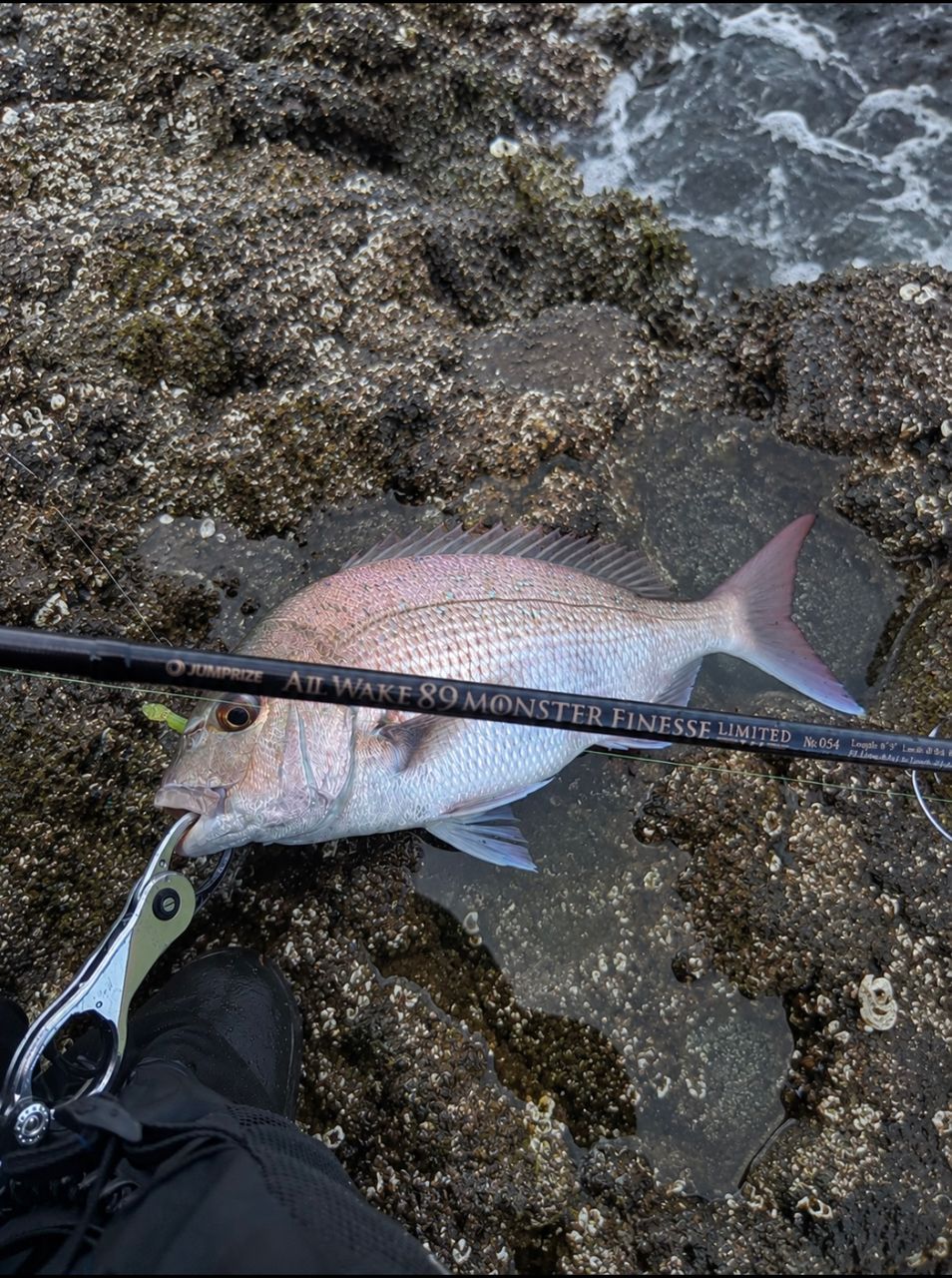SHIMANO 22ステラ 3000MHGの最安値・インプレ・釣果 | 本音の口コミが
