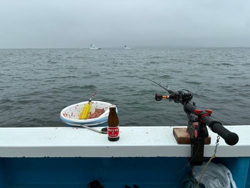 イサキの釣果