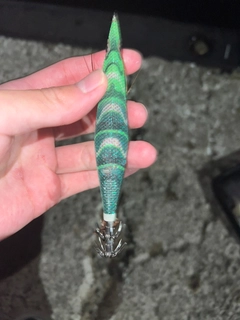 釣果