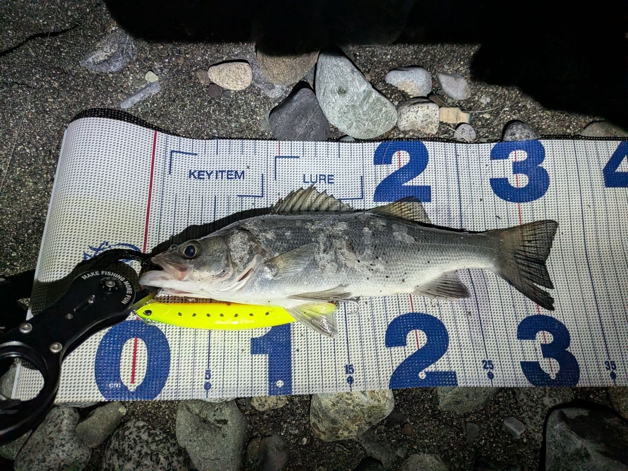 DAIWA 23レグザ LT5000-CXHの最安値・インプレ・釣果 | 本音の口コミが