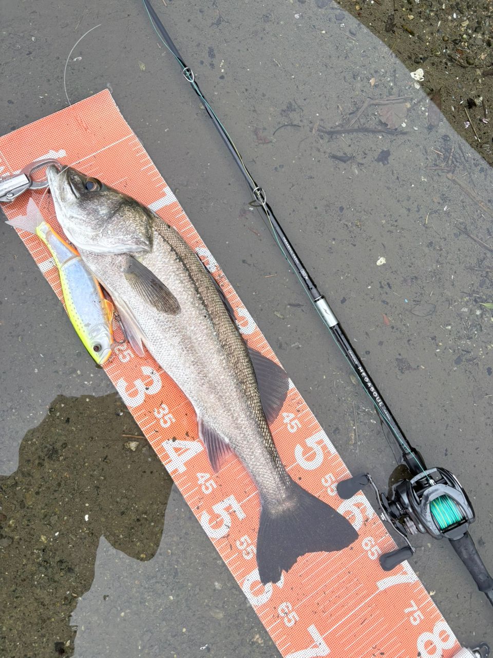 DAIWA 21タトゥーラ TW 300/400 400XHLの最安値・インプレ・釣果