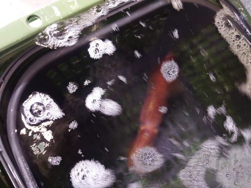 アカイカの釣果