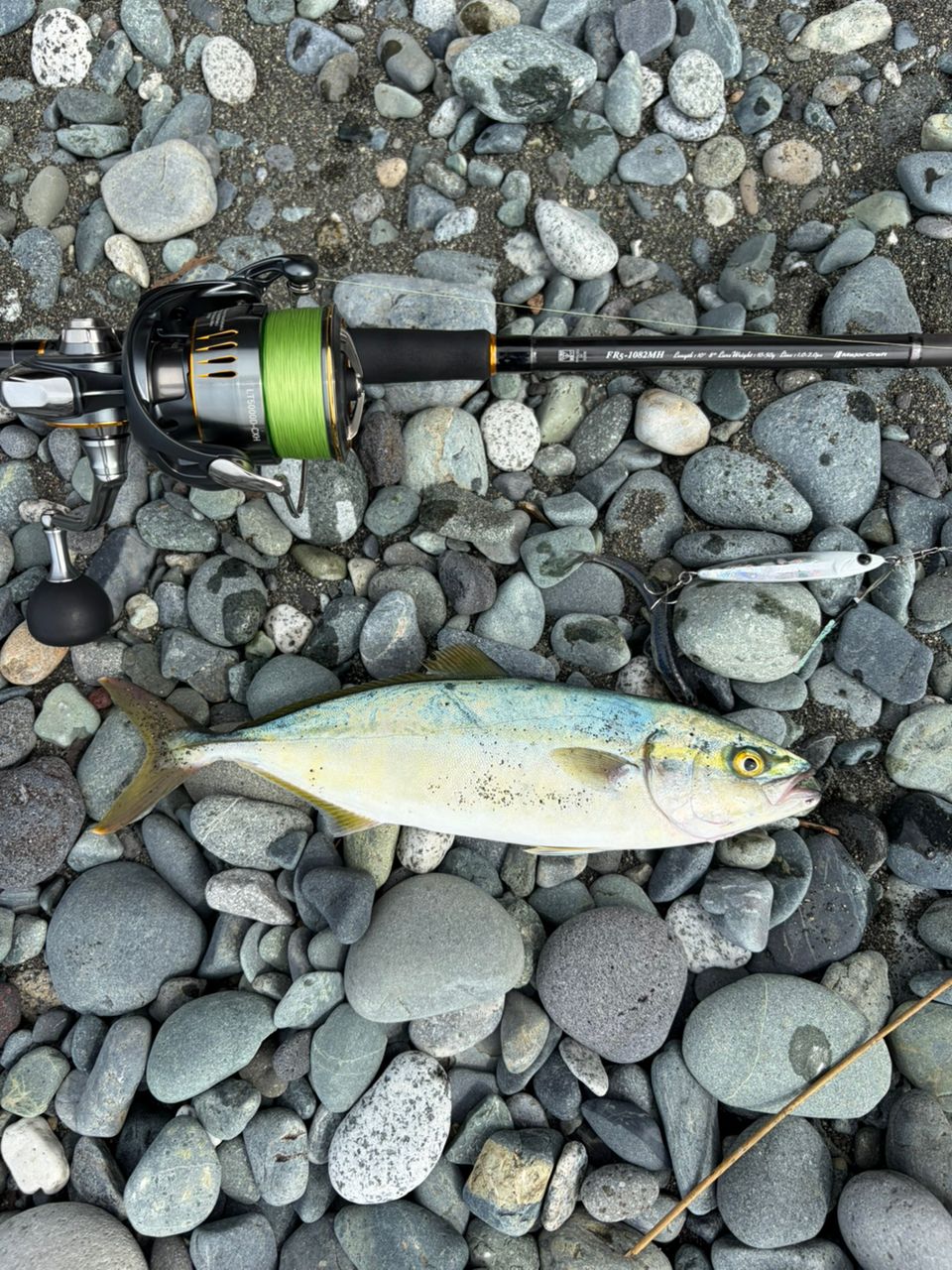 DAIWA 23エアリティ LT5000D-CXHの最安値・インプレ・釣果 | 本音の