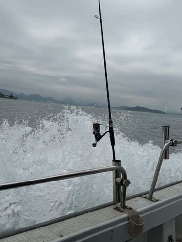 タイの釣果