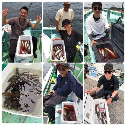 イサキの釣果