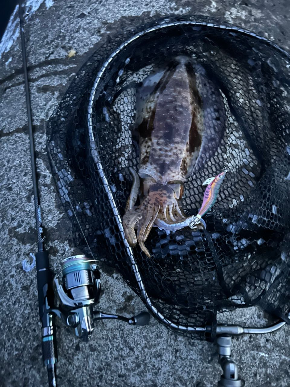 DAIWA 16エメラルダス ストイスト AGS 76M-SMTTの最安値・インプレ
