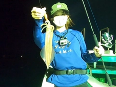 ケンサキイカの釣果