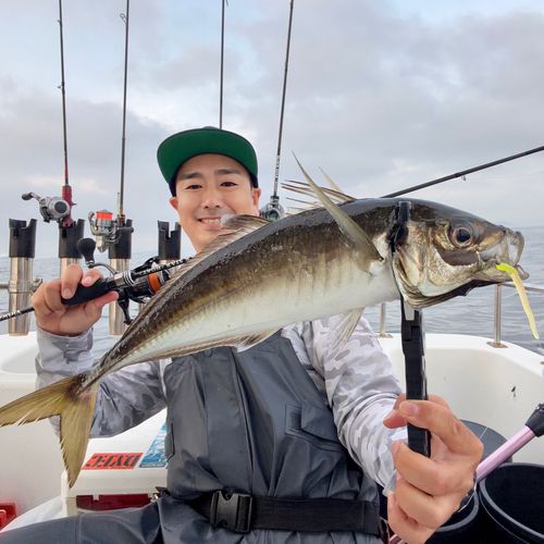 マアジの釣果