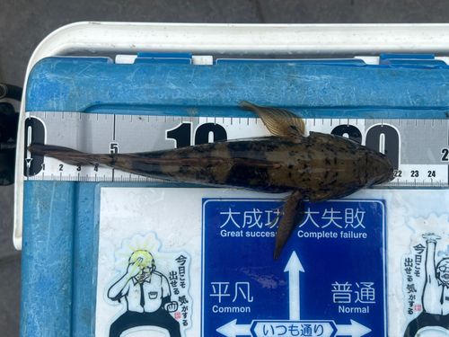 釣果