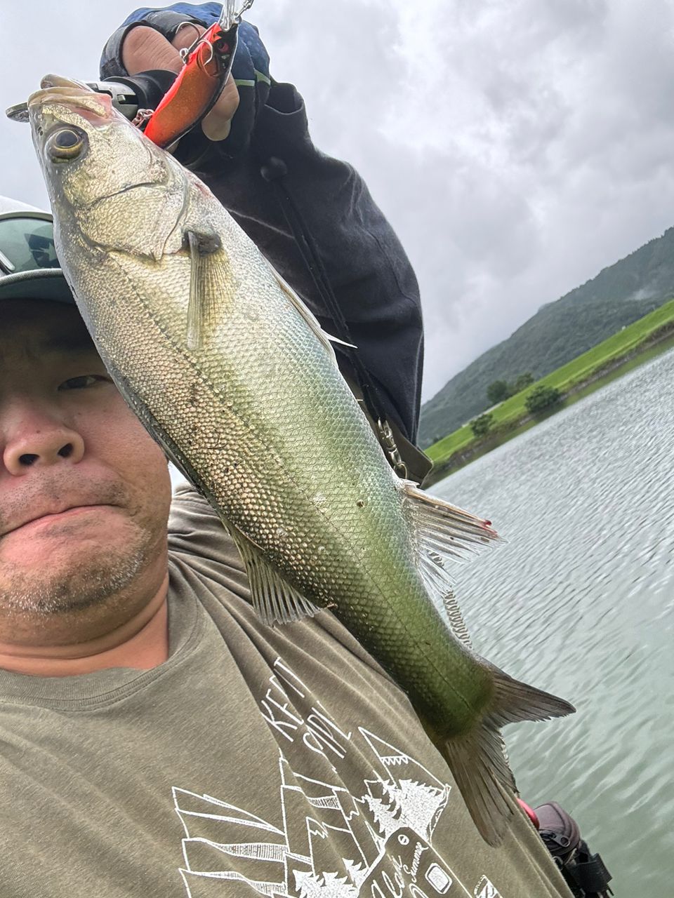 シーバス・ヒラスズキ・キビレの釣果写真