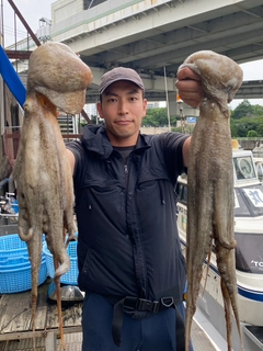 タコの釣果