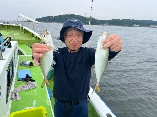 マアジの釣果