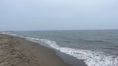 キスの釣果