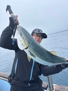 ブリの釣果