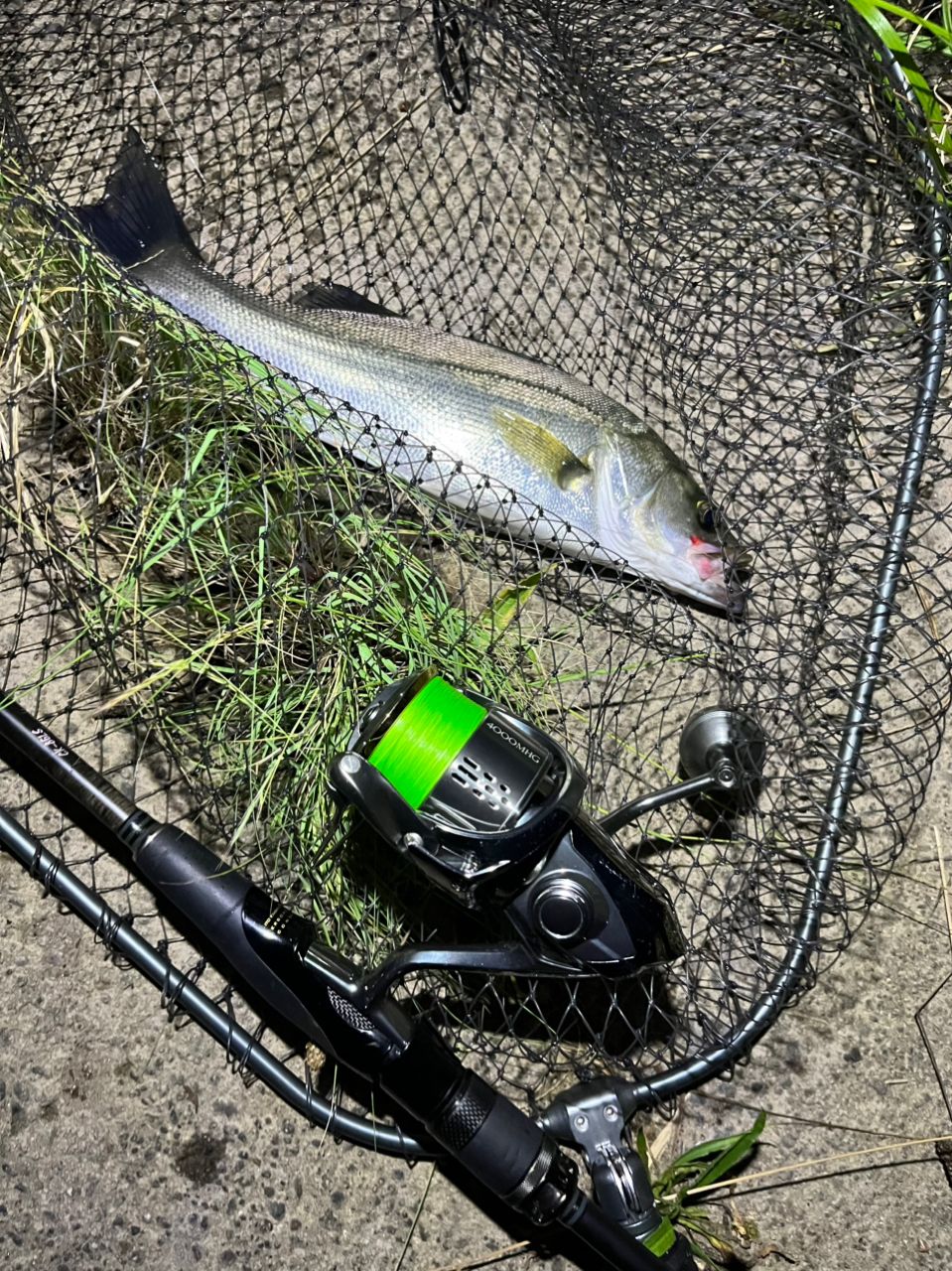 Megabass 空海 CK-86LSの最安値・インプレ・釣果 | 本音の口コミが