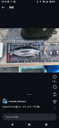 キハダマグロの釣果
