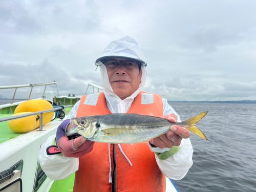 マアジの釣果