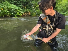 ニジマスの釣果