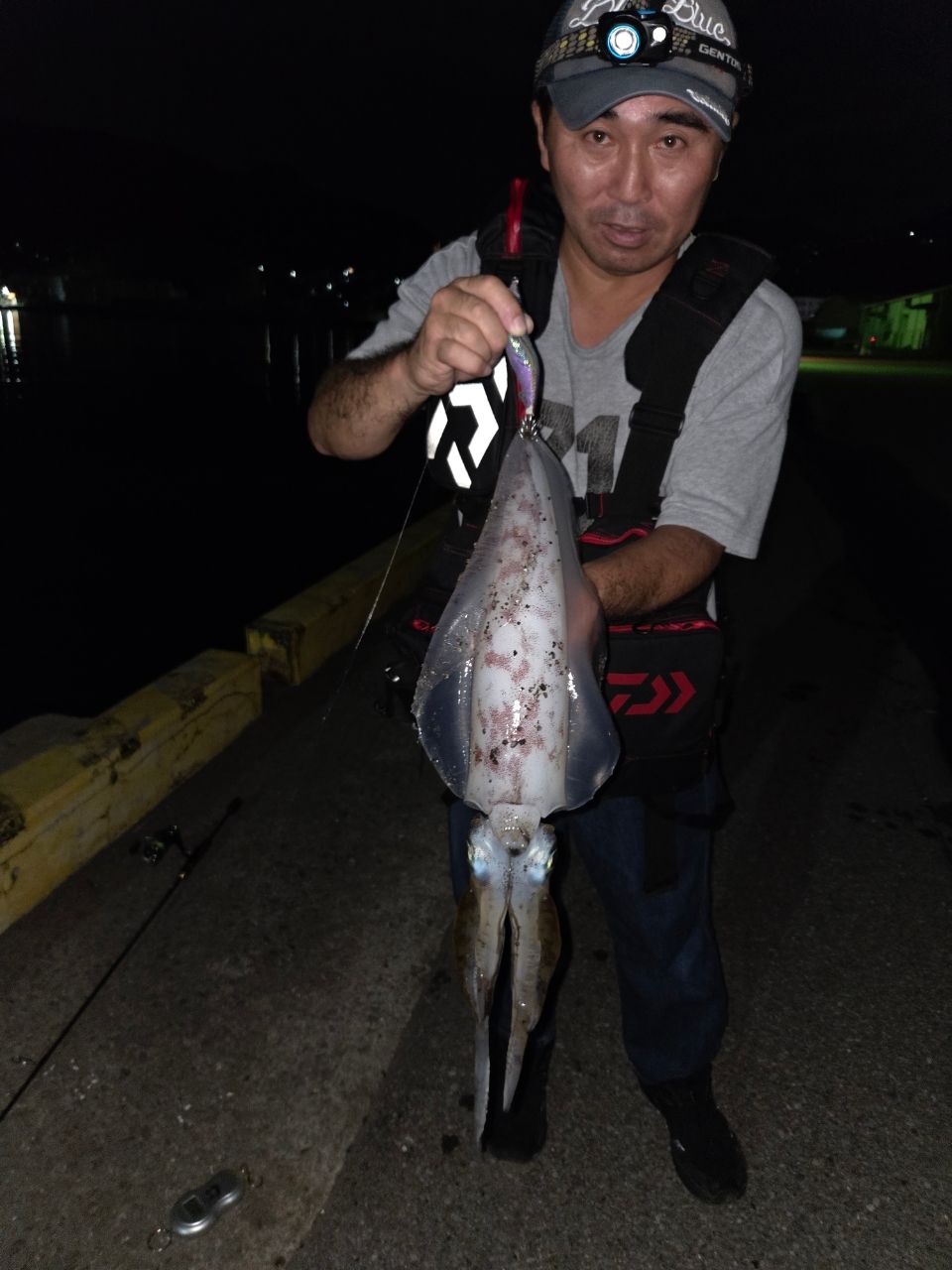アオリイカの釣果写真