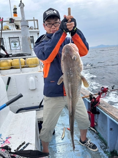 タラの釣果