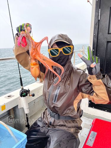 タコの釣果