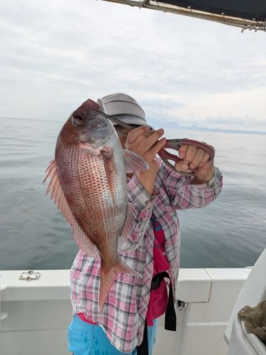 タイの釣果