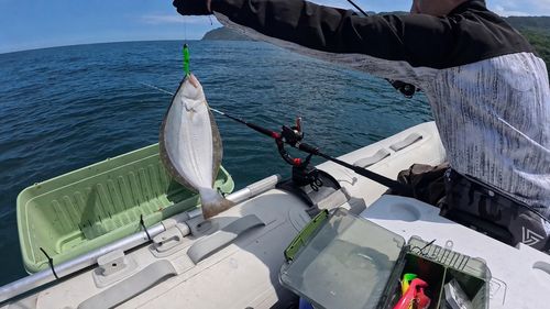 ヒラメの釣果