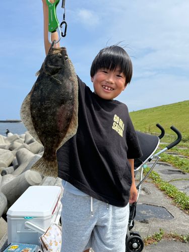 ヒラメの釣果
