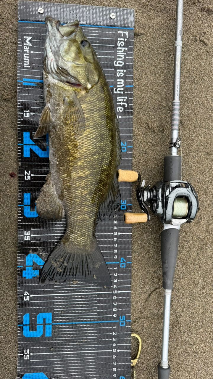 DAIWA 14ハートランド AGS 832MSB-SV AGS21の最安値・インプレ・釣果
