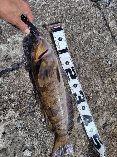 釣果