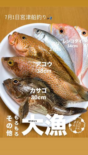 アコウの釣果