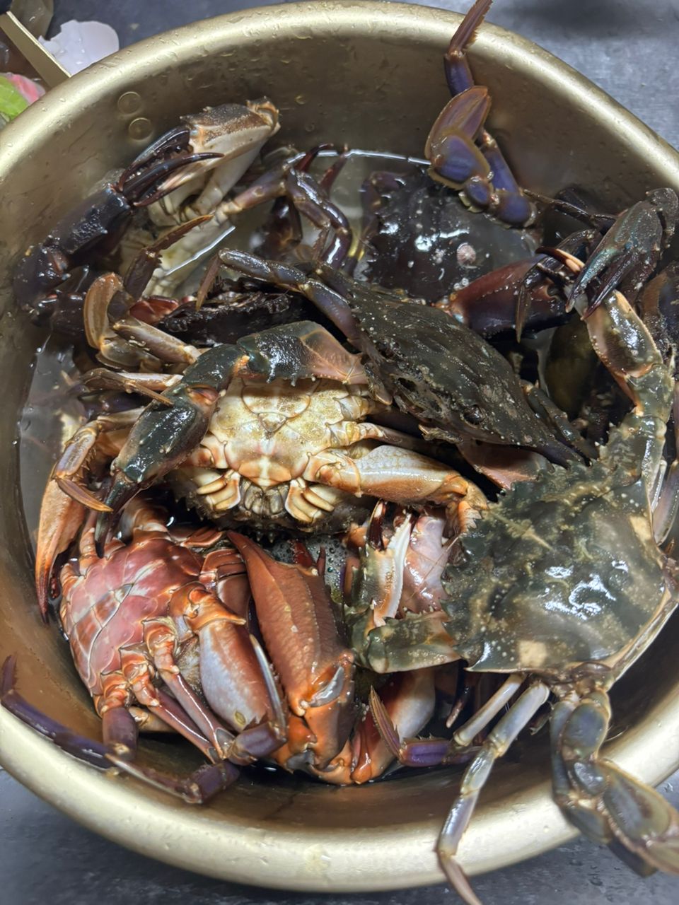 カニの釣果写真