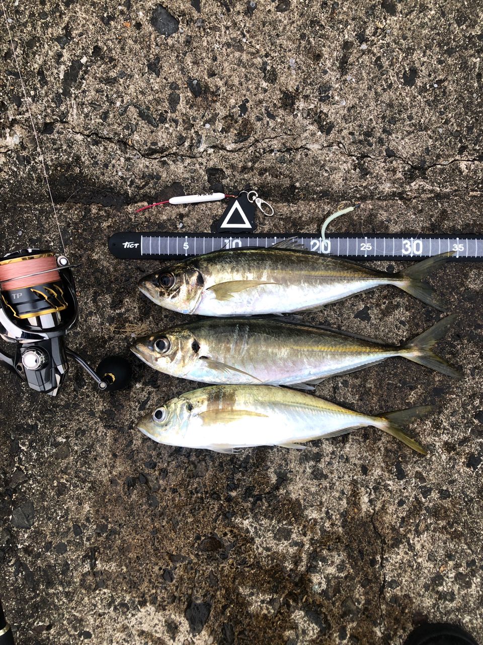 SHIMANO ネッサ CI4+ S1008MMHの最安値・インプレ・釣果 | 本音の