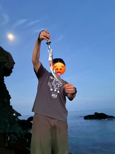 カマスの釣果