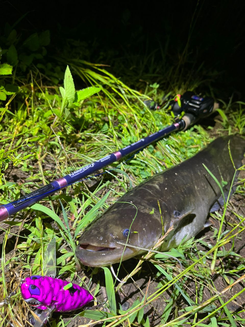 DAIWA UVF ソルティガ センサー 12 ブレイド EX +Si 4.0号/68.0lb/5色