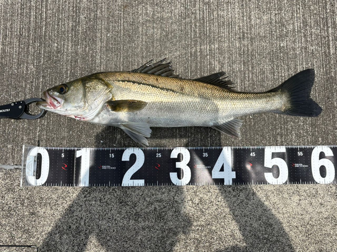 DAIWA 20ラテオ モバイル 106M-4の最安値・インプレ・釣果 | 本音の
