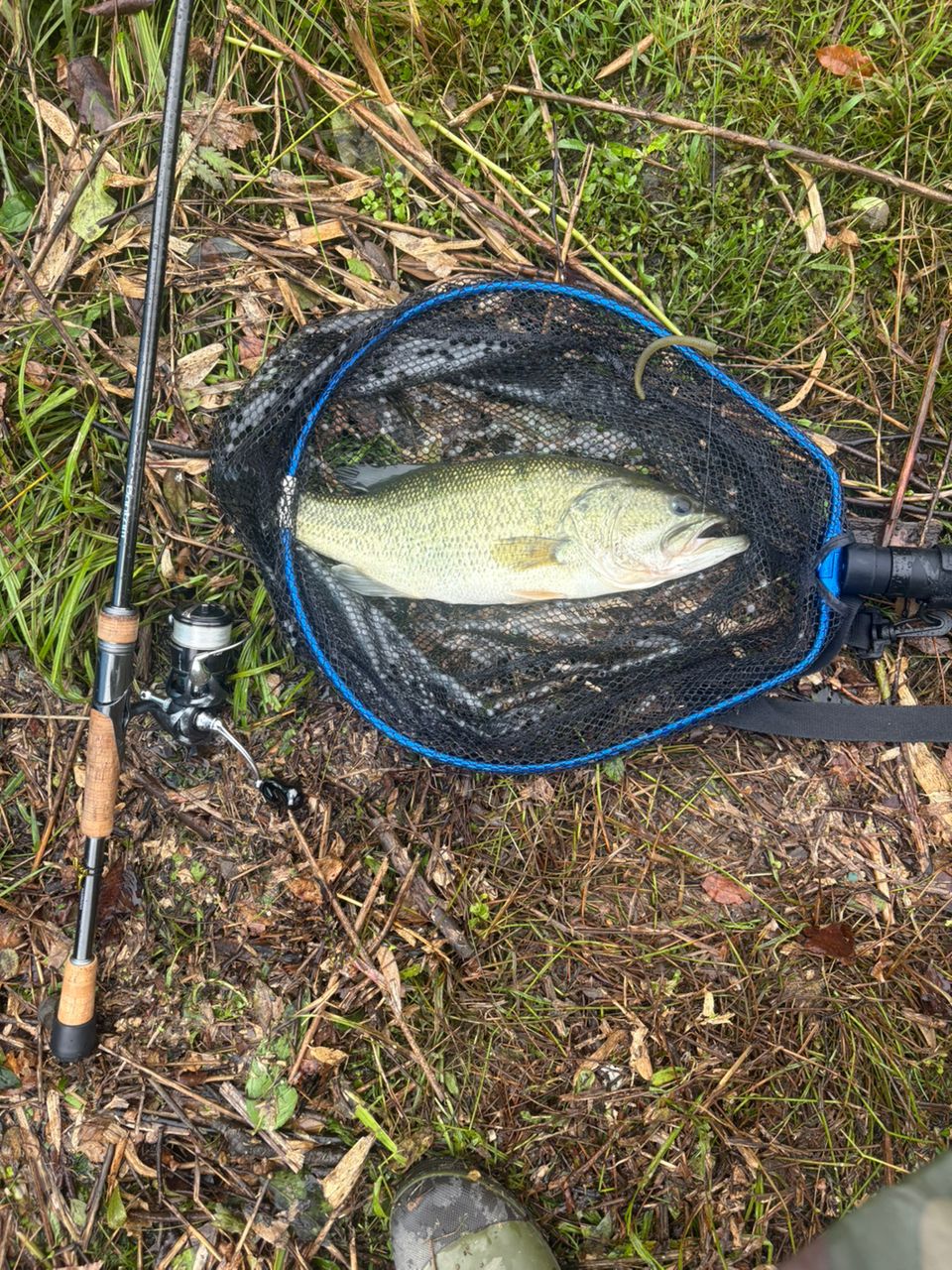 SHIMANO 22バンタム 274M+の最安値・インプレ・釣果 | 本音の口コミが
