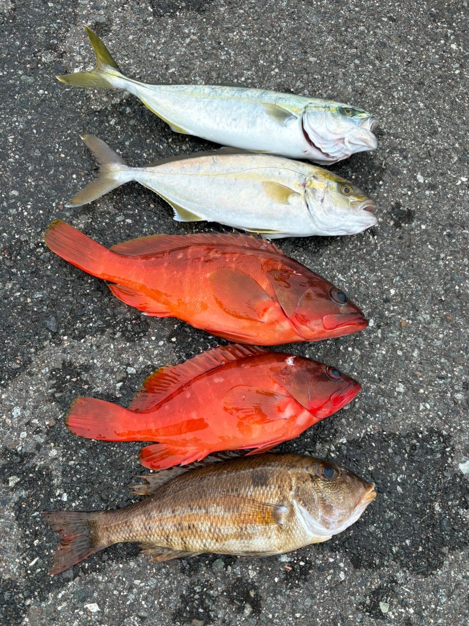 SHIMANO 16ナスキー 4000XGの最安値・インプレ・釣果 | 本音の口コミが