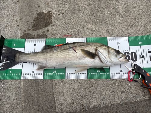 釣果