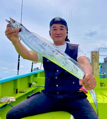 タチウオの釣果