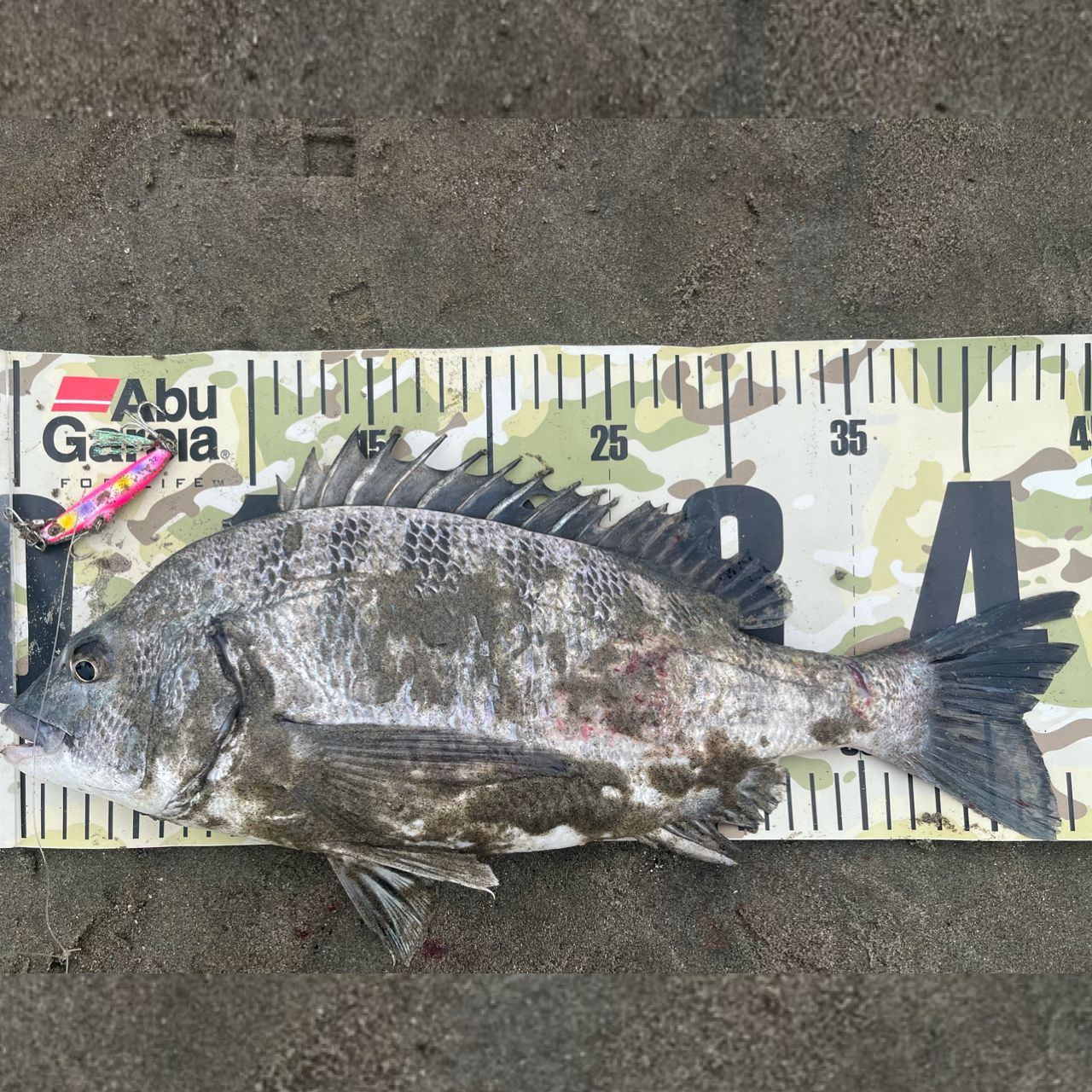 SHIMANO 18ディアルーナ S106MLの最安値・インプレ・釣果 | 本音の
