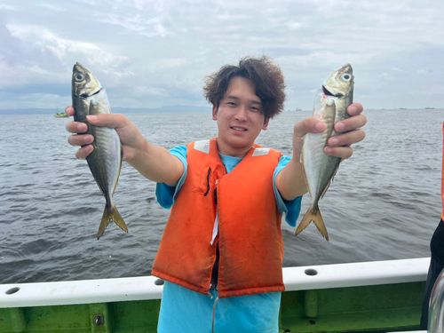 マアジの釣果