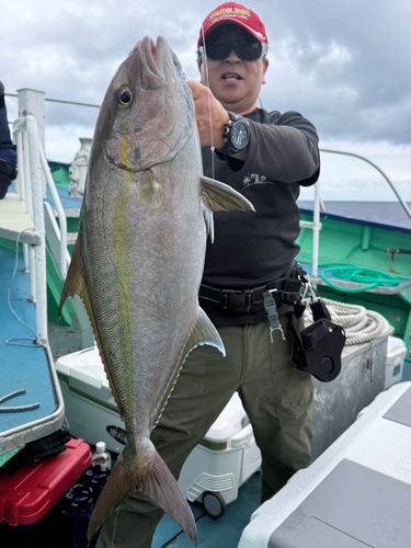 キハダマグロの釣果